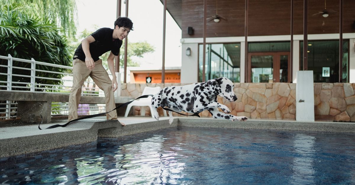 Transforming Pools Into Backyard Paradises